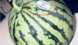 免费网红吃瓜,揭秘娱乐圈幕后真相